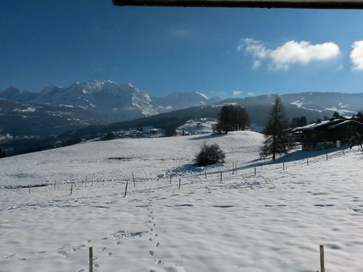 Rez De Chaussee Tres Calme Vue Mont-Blanc 孔布卢 外观 照片