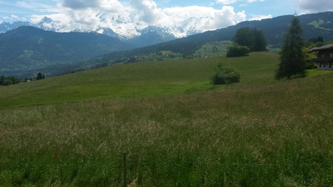 Rez De Chaussee Tres Calme Vue Mont-Blanc 孔布卢 客房 照片